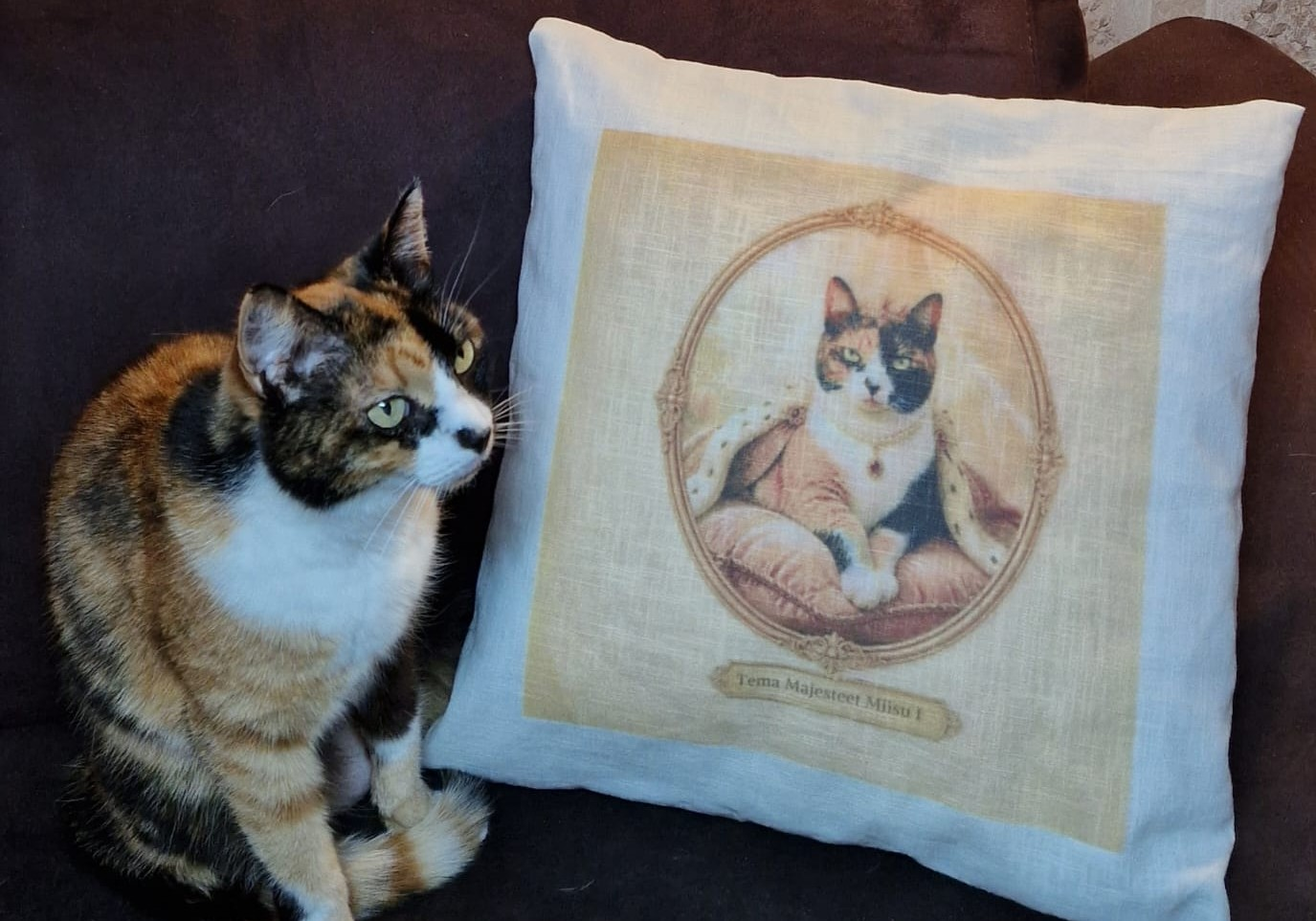 Lemmiku pildiga padi, 40 × 40 cm - Pilt 2